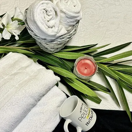 La Sirenuca - 3019 Apartment Santoña