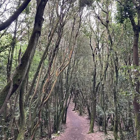 La Sirenuca - 3019 Apartment *