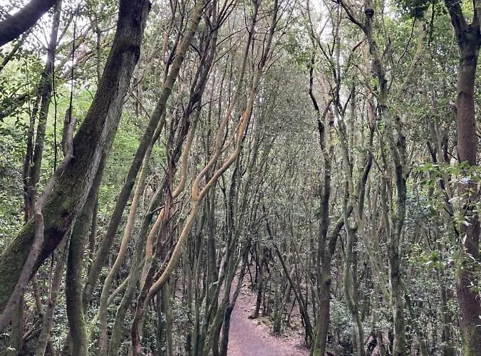 La Sirenuca - 3019 Appartamento *